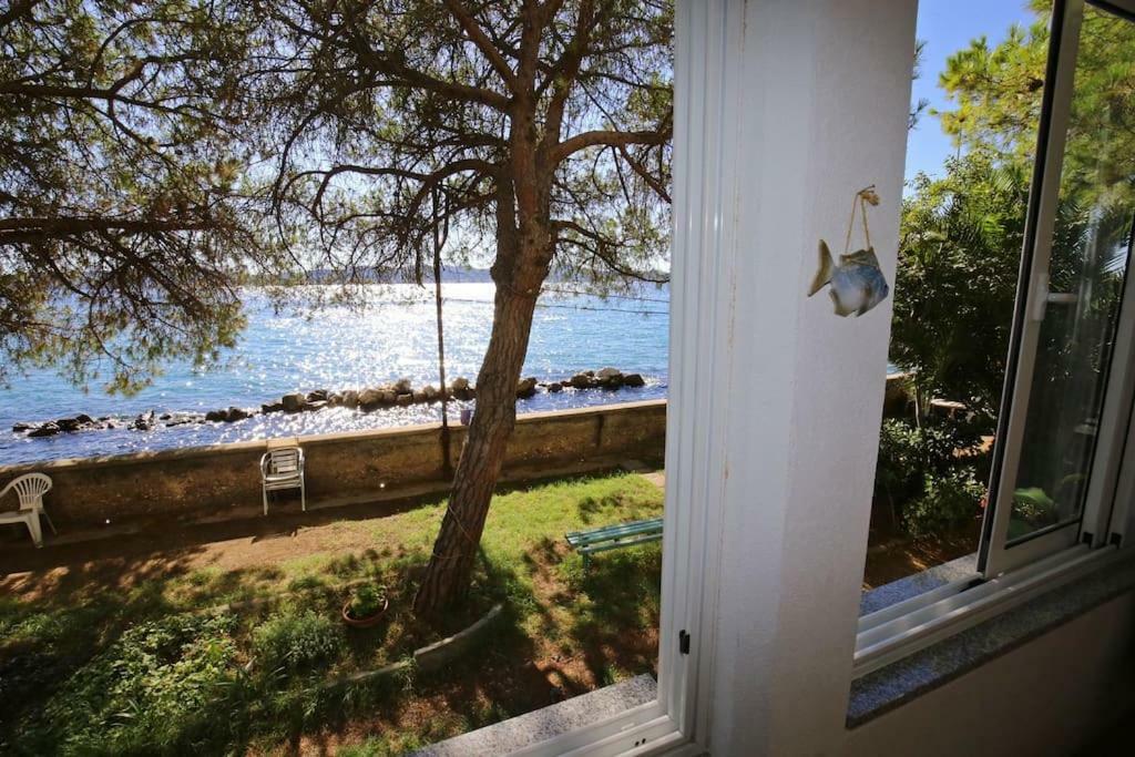 Seafront Beach Apartment - Directly At The Beach Zadar Eksteriør bilde
